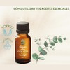 OLEUM VITAE Aceite Esencial de Eucalipto 30ml. Eucalyptus Globulus 100%