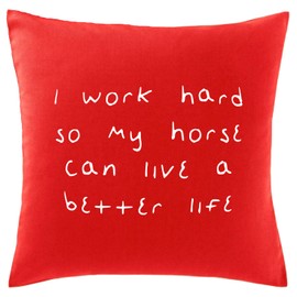 Hippowarehouse I Work Hard So My Horse Can Live A Better Life Printed bedroom accessory cushion cover case 41x41cm