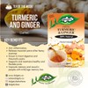Dalgety Turmeric and Ginger Herbal Infusion 6x40g Cartons (6 Pack)