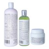 Kit Japonesa Silver 1l, Sellador 250ml, Shampoo Lp 500ml