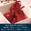 Shino Foods Gourd Pickled Shiba Pickle, Commercial Use (Red) 17.6