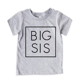 Teeny Fox Big Sis Letter Printed Lil Brother Little Sister Family Cute Matching Outfits Couple Shirts