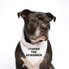 I Found The Afikomen Dog Bandana | 100% Cotton Adjustable