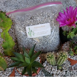 2 Quarts 1/4 Horticultural Cactus Succulent Bonsai Pumice Soil