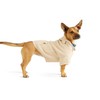 Youly Teddy Sweater for Dogs, X-Small, Brown
