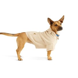 Youly Teddy Sweater for Dogs, X-Small, Brown