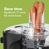 Hamilton Beach Juice & Blend 2-in-1 Juicer Machine and 20