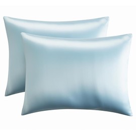 【2 Pack】 Mulberry Satin Silk Pillowcase, H HOME-MART 20"x 30" Satin Silk Pillowcases for Hair and Skin, Queen Size Pillow Case with Envelope Closure (Light Blue)
