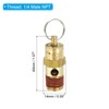 PATIKIL 1/4" Male NPT Safety Valve, Air Compressor Release Valve,