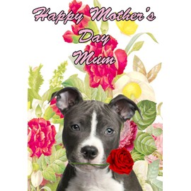 hmd102 Staffordshire Bull Terrier Dog Rose flowers Mother's Day Greeting Card a5, Can be Created for Any Event
