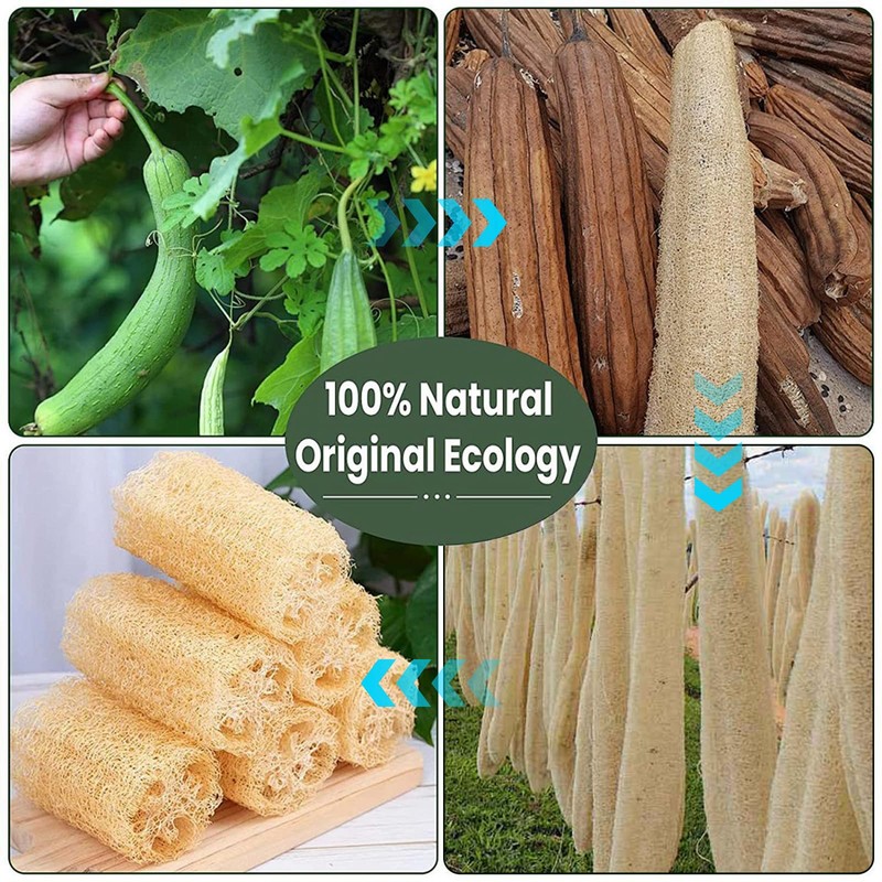 VacFreKep 4 Pack Natural Loofah Sponge,Organic Loofah Sponge Organic Luffa