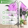 Grow Light with Stand, Crover Tri-Head Indoor Plant Growing Lamp