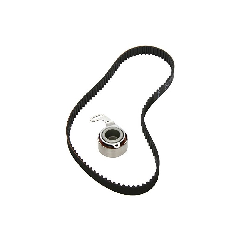 INA 530 0316 10 Timing Belt Set