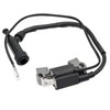 FitBest Ignition Coil & Spark Plug for Honda GX240 GX270