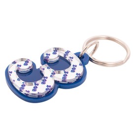 Desert Cactus Zeta Phi Beta Keychain Line Number # Cross Over Initiation Acrylic Mirrored Decorative ZPB Divine 9 (#3 Line Number Keychain)