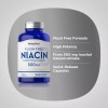 Piping Rock Niacin Flush Free 500mg | 240 Capsules |