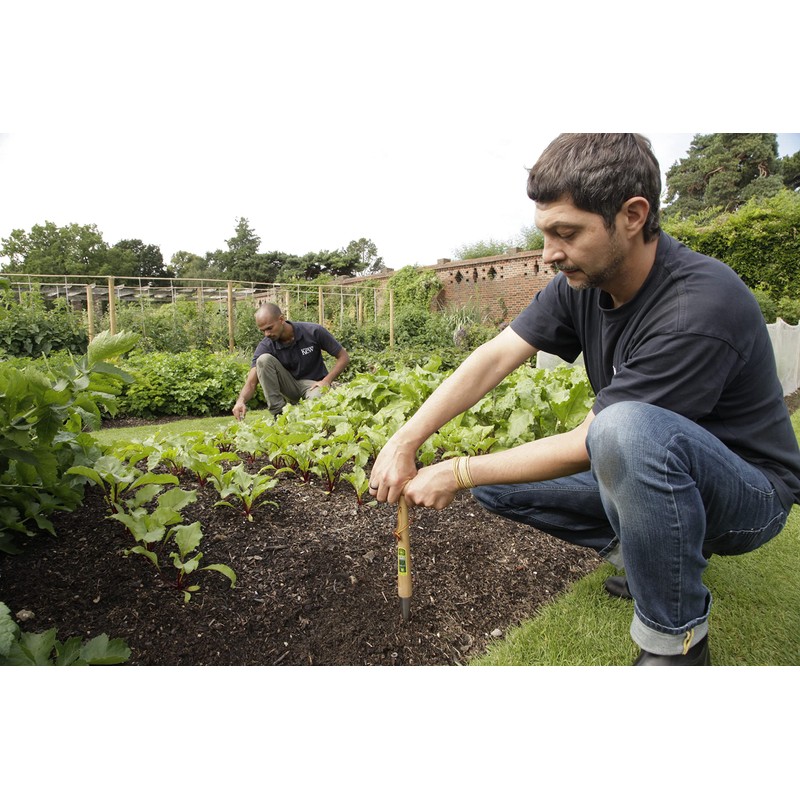 Spear & Jackson Kew Gardens 3120KEW Stainless Steel Dibber with