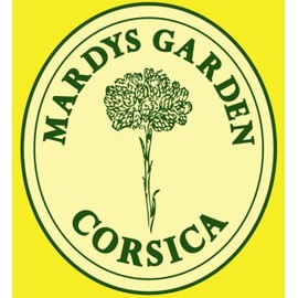 Organic Rosemary Essential Oil 5 ml Rosmarinus Verbenoniferum from Corsica, 100% Pure & 100% Natural