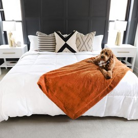 Gray Eagle Oversized King Comforter, White, All Season Down Alternative Comforter, Duvet Insert, Fluffy, Extra Large King Comforter, California King Comforter, Hotel Comforter (120x120 inches)