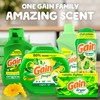 Gain In-Wash Laundry Scent Booster, Original Scent, 12.2 OZ, Fresh
