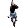 Kotomoda Cat Clothing Cotton T-Shirt Ice for Sphynx Cats (XS)