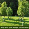 Tree Stakes and Supports, Heavy Duty Tree Stakes Kit Include