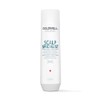 Goldwell Dualsense Scalp Specialist Anti-Dandruff Shampoo 250ml