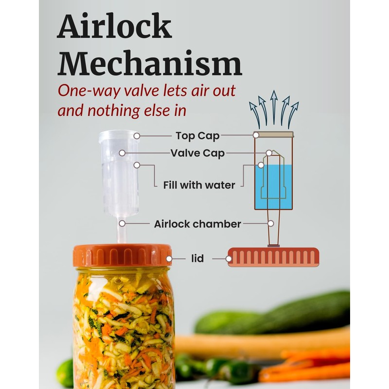 Elementi Mason Jar Fermentation Kit - Set of 4 Easy