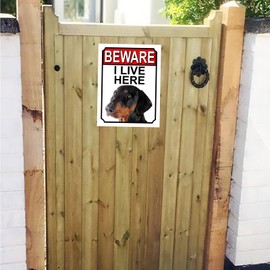 Shawprint BEWARE I LIVE HERE METAL GATE SIGN DOBERMAN PINSCHER 200MM X 10MM (1058H1)