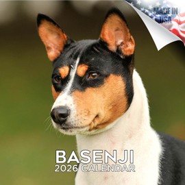 2025 2026 Basenji Calendar - Dog Breed Monthly Wall Calendar - 12" x 24" Open - Thick No-Bleed Paper - Giftable - Academic Teacher's Planner Calendar Organizing & Planning - Made in USA