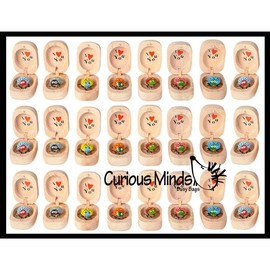 Love bug in Box Novelty Gift - Bugs Legs Wiggle So it Looks Alive - Wooden Hinged Box Nut Ladybug - Style: 24 RANDOM COLOR Bug Boxes (2 Dozen)