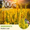 Hiihone Mullein Leaf Tea Bags for Lung Support, 20 Tea