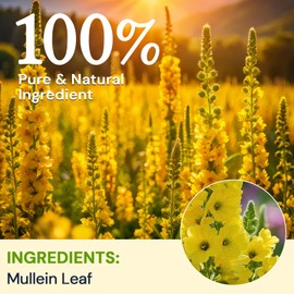 Hiihone Mullein Leaf Tea Bags for Lung Support, 20 Tea Bags, 100% Natural Herbal Tea from Mullein Leaves, Caffeine Free, No Sugar, No Additives
