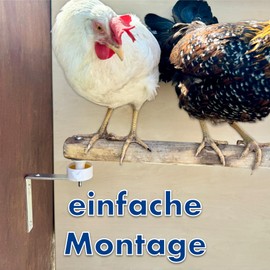 Complete Set Mite Barrier for Chicken Coop Against Red Bird Mite Chickens, Mite Protection, Mite Trap, Chicken Coop, Chicken Coop