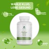 Moringa Oleifera Extract Capsules 500 mg - 60 Capsules High