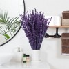 Oning Dried Purple Lavender Flowers Bundle-Dried Preserved Lavender Bouquet 8-12"