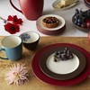 Noritake 4-Piece Colorwave Place Setting, Raspberry