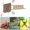Hermit Crab Climbing Toys,Hermit Crab Accessories for Live Hermit Crab