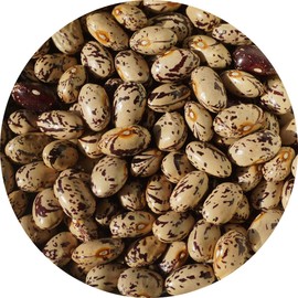 Hokkaido Medium Long Quail Beans, Ingen-Beans, Ingen-beans, Quail, Vegetable Beans, Three Beans, Pinto Bean, Medium Length Quail Beans, 7.1 oz (200 g), Quail Beans, Quail Beans, Quail Beans