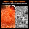 LUCKY HERP Heat Lamp for Chickens, 250 Watt Red Heat