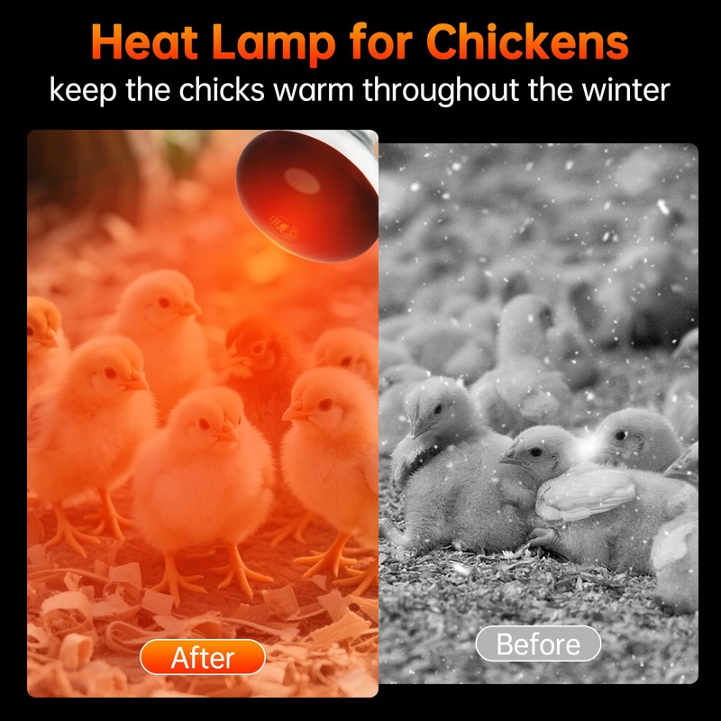 LUCKY HERP Heat Lamp for Chickens, 250 Watt Red Heat
