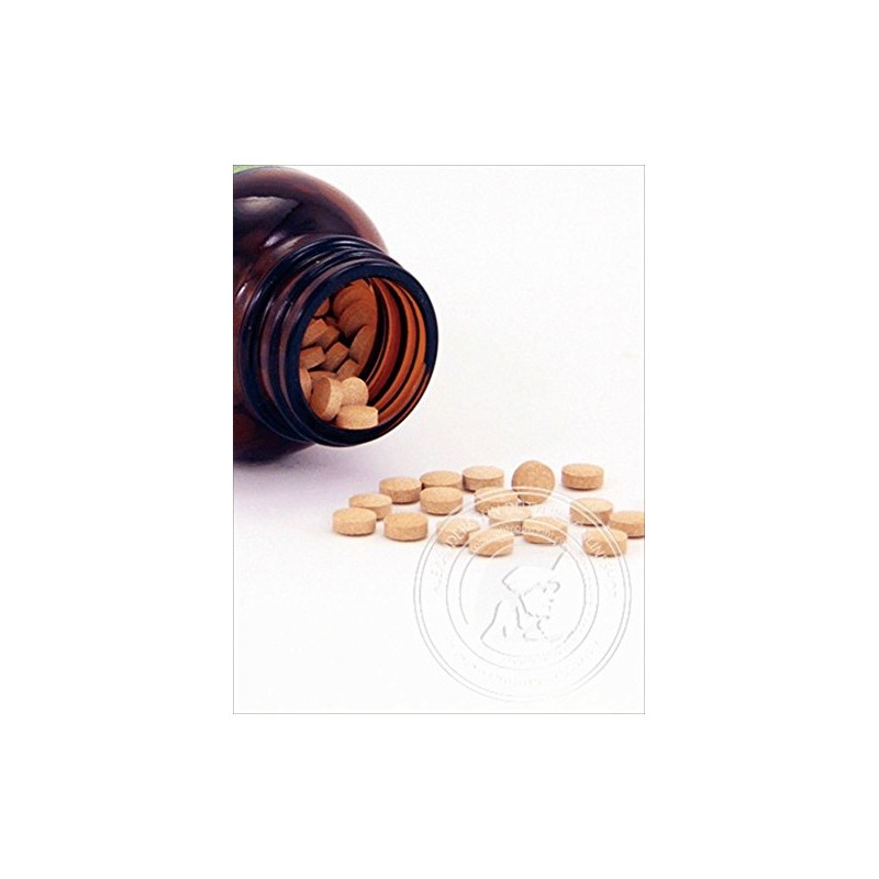 Style Japan High Support 450 Tablets 4.8 oz (135 g),