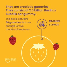 Feel Good Kids Organic Probiotic Gummies for Digestive Health - Constipation and Microbiome Homeostasis. Delicious Strawberry Flavor. Vegan. Non GMO. 2.5 Billion CFU per Gummy. Spore Based Probiotic.