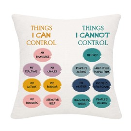 Bommex Things I Can Control Cushion Cover 18x18 Inch Motivational Inspirational Gift for Kids Teens Adults (THINGS-CAN CONTROL/CAN'T CONTROL)