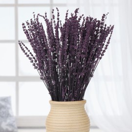 MIHUAGE Dried Preserved Lavender Flowers - 2 Bundles with 3.5oz for Home Decor, DIY Arrangements, Photo Props, & Fragrance - 15"-17", Purple Lavender Bunches.