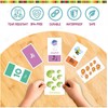 Early Learning Flash Cards Number Flash Cards Alphabet Flash Card
