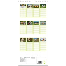 Familienplaner 2026 - Das Glück hat einen Namen - Golden Retriever mit 5 Spalten (Wandkalender, 21 cm x 45 cm), CALVENDO: Eine der wohl schönsten ... auf 13 wundervollen Fotos (CALVENDO Tiere)