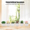 6PCS Potted Artificial Succulents Artificial Plants in Pots Plastic Fake