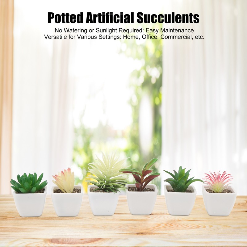 6PCS Potted Artificial Succulents Artificial Plants in Pots Plastic Fake