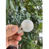G40 1.5w Low Wattage Led Bulb Equivalent 15 Watt Standard